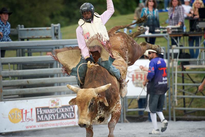 Rodeo Events
